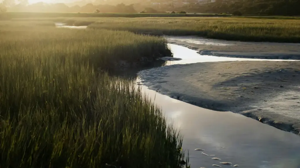 Guide pratique pour marketeurs camerounais cherchant à collaborer avec créateurs Maroc sur KakaoTalk via streamers.