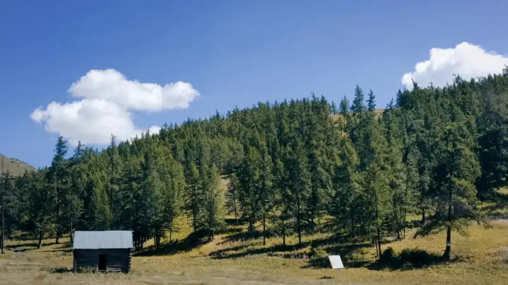 Guide pratique pour créateurs au Cameroun : comment contacter marques argentines sur Roposo et convertir vues en inscriptions à vos cours en ligne.