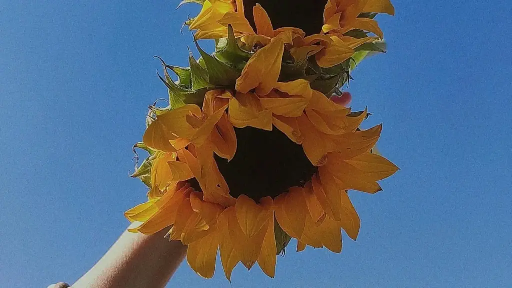 "Guide pratique pour créateurs camerounais : comment identifier, contacter et co-créer des bundles exclusifs avec marques bulgares via Zalo, étapes concrètes et pièges à éviter."