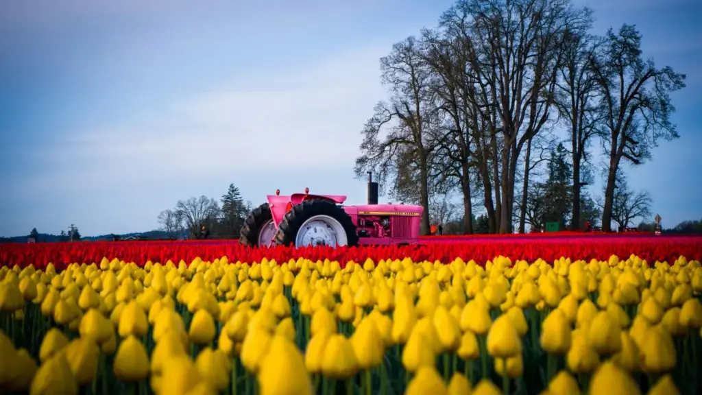 Guide pratique pour créateurs au Cameroun: comment approcher les marques indiennes via OnlyFans, éviter les pièges réglementaires, et transformer des revues produits en deals payants.