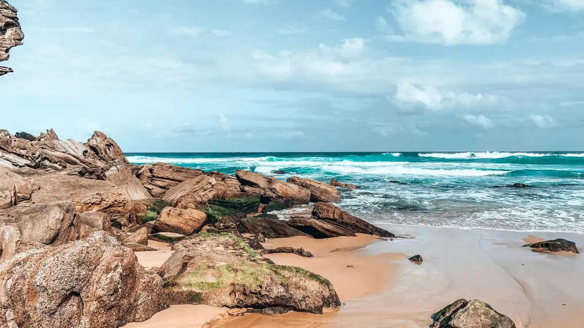 Cameroon Creators: Land Indonesian Brands on Reddit