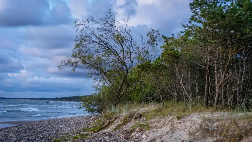"Guide pratique fr-CM pour créateurs : comment contacter des marques panaméennes sur Facebook et vendre vos « hidden gems » locaux avec stratégie, sécurité et storytelling."