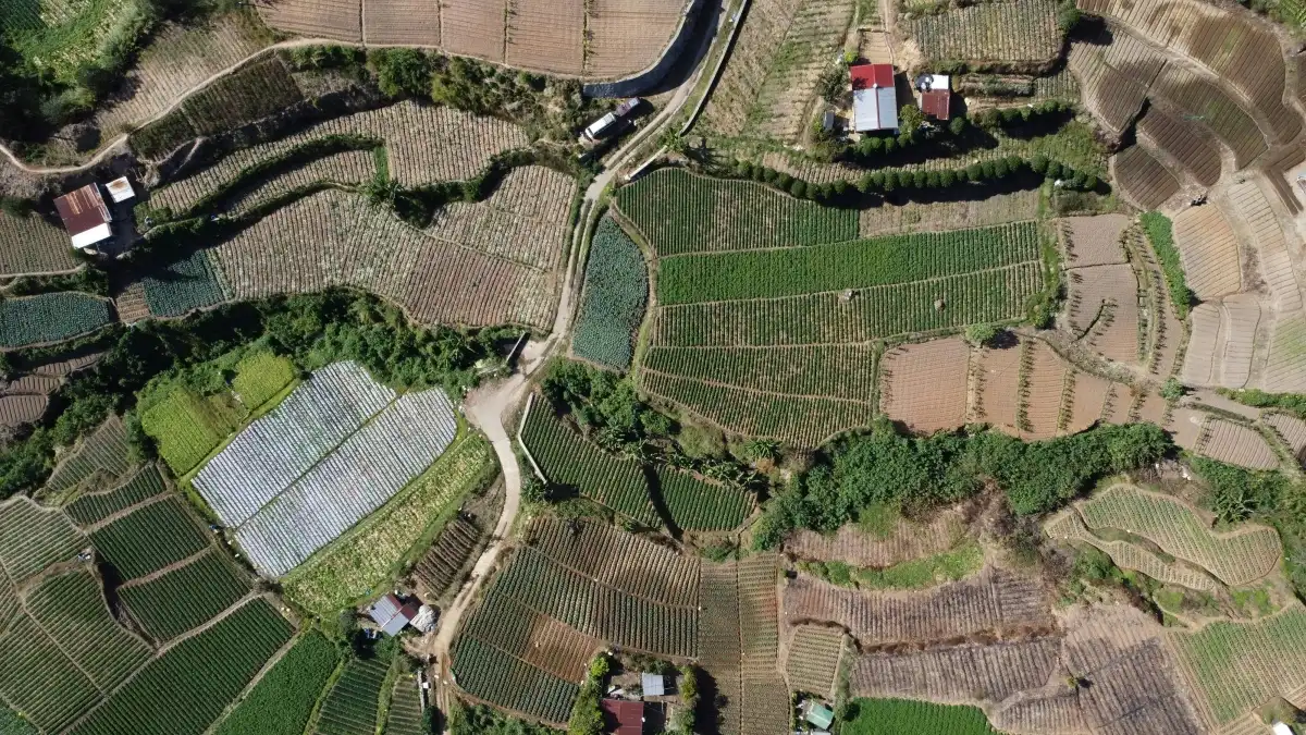 Cameroon creators: Reach PH brands on TikTok & land deals