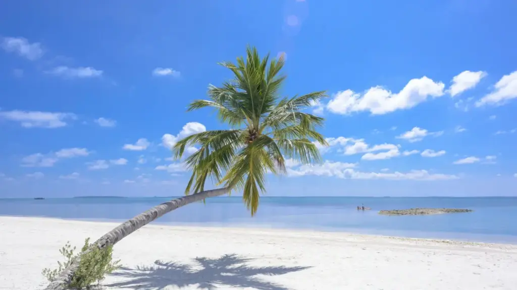 Guide pratique pour créateurs camerounais : comment contacter les marques turques sur Zalo pour recevoir et reviewer leurs PR packages.