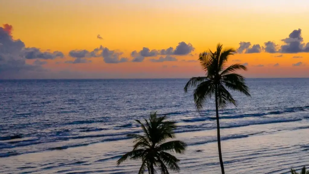 Guide local pour marketeurs au Cameroun cherchant créateurs Telegram bangladais pour envoi PR packages et boost contenu.