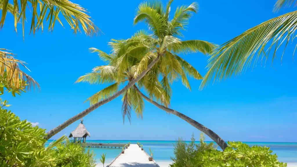 Découvrez comment repérer les créateurs Spotify en Italie pour vos campagnes product seeding depuis le Cameroun.