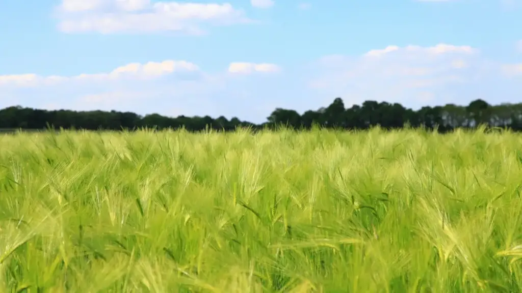 Guide pratique pour créateurs au Cameroun: comment atteindre et convertir marques argentines via Zalo, construire partenariats long-terme et minimiser les risques.