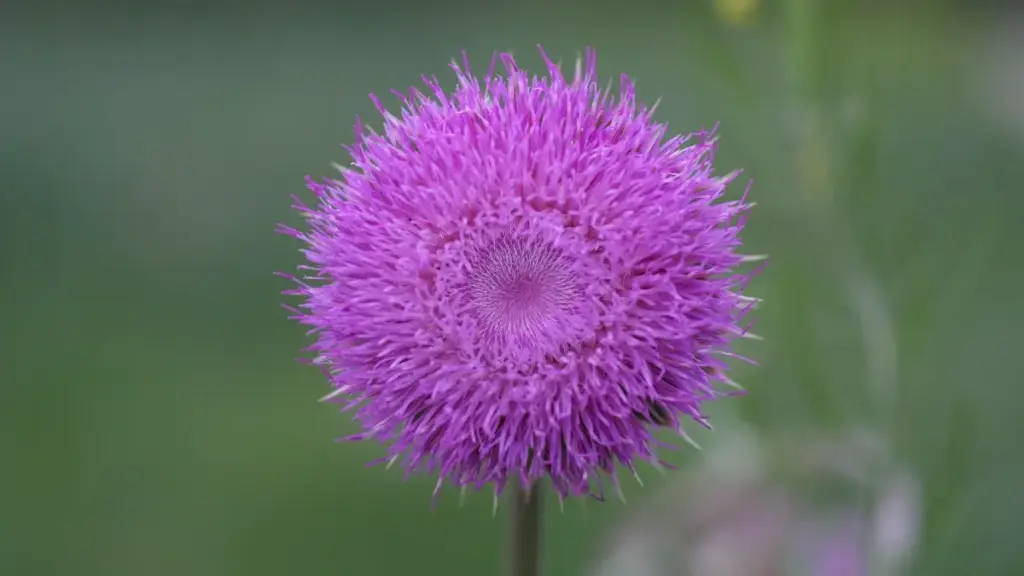 Guide pratique pour annonceurs au Cameroun: trouver et engager créateurs turcs sur KakaoTalk pour lancer giveaways performants — méthodes, checklist et outils.