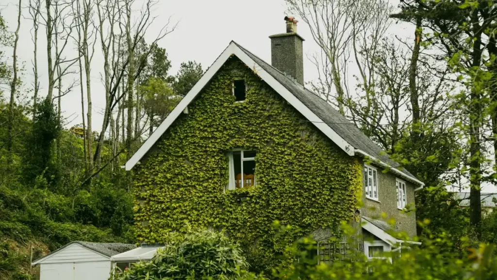 Guide pratique pour créateurs au Cameroun: stratégies LinkedIn pour atteindre marques israéliennes, pitch, prospection, et sécurité digitale.