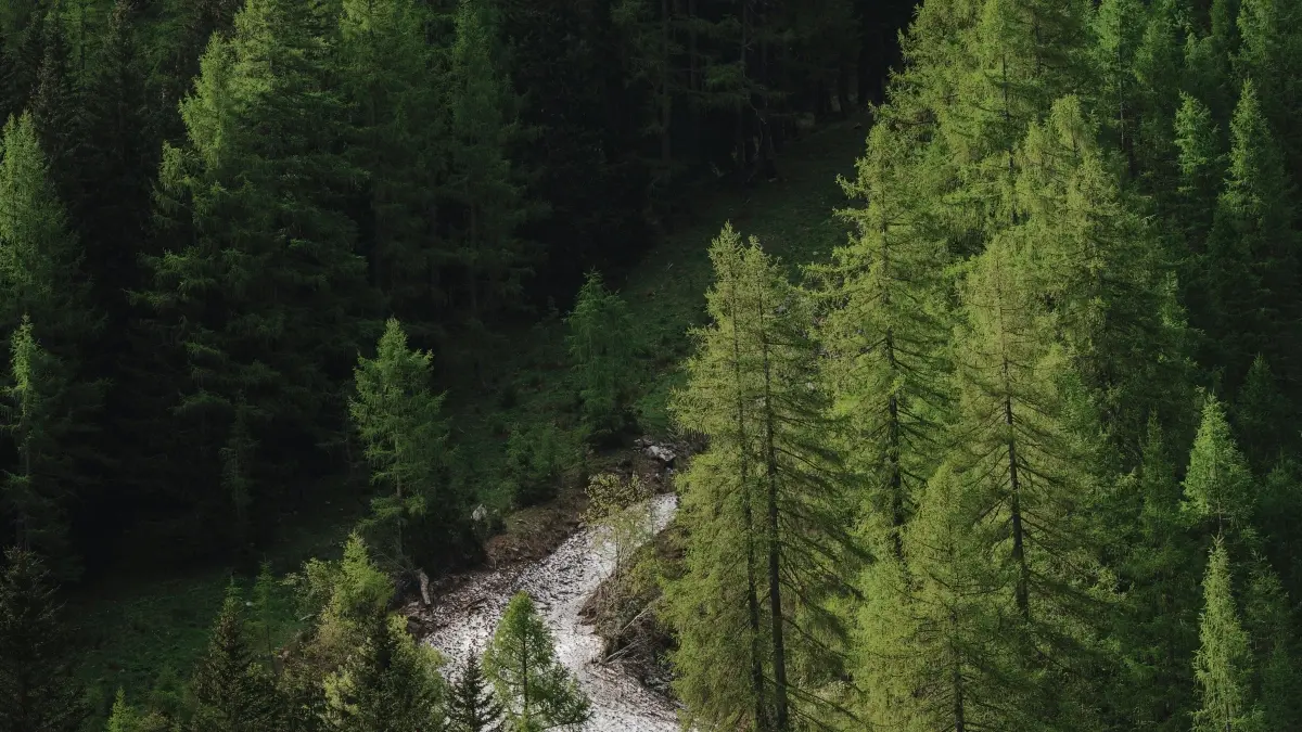 Annonçeurs CM: trouver YouTubeurs Italie pour suppléments