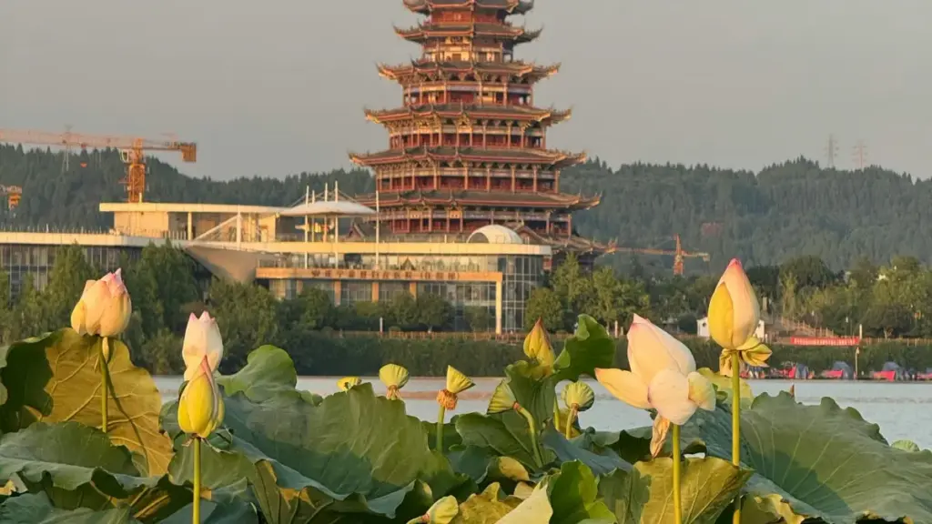 Guide pratique pour créateurs au Cameroun: comment cibler et convaincre marques espagnoles sur LinkedIn pour participer aux tendances musicales en 2025.