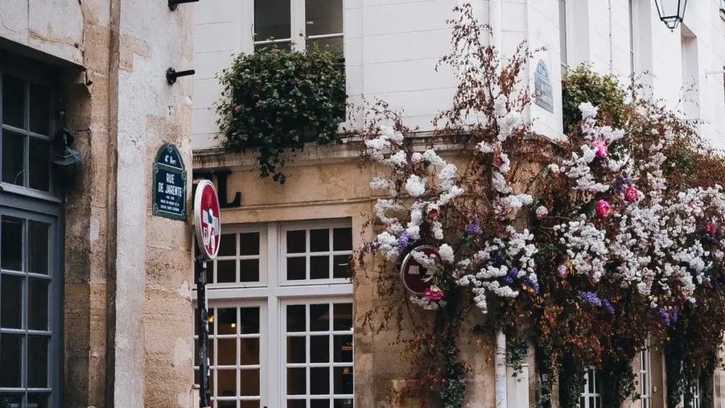 Guide pratique pour créateurs au Cameroun: comment approcher les marques costa-riciennes liées à Netflix pour faire entrer des artistes émergents dans des activations et playlists.