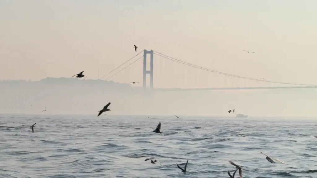 Guide pratique pour annonceurs camerounais: comment dénicher et lancer des défis fitness menés par créateurs Instagram au Portugal — méthodes, outils, risques et checklist locale.