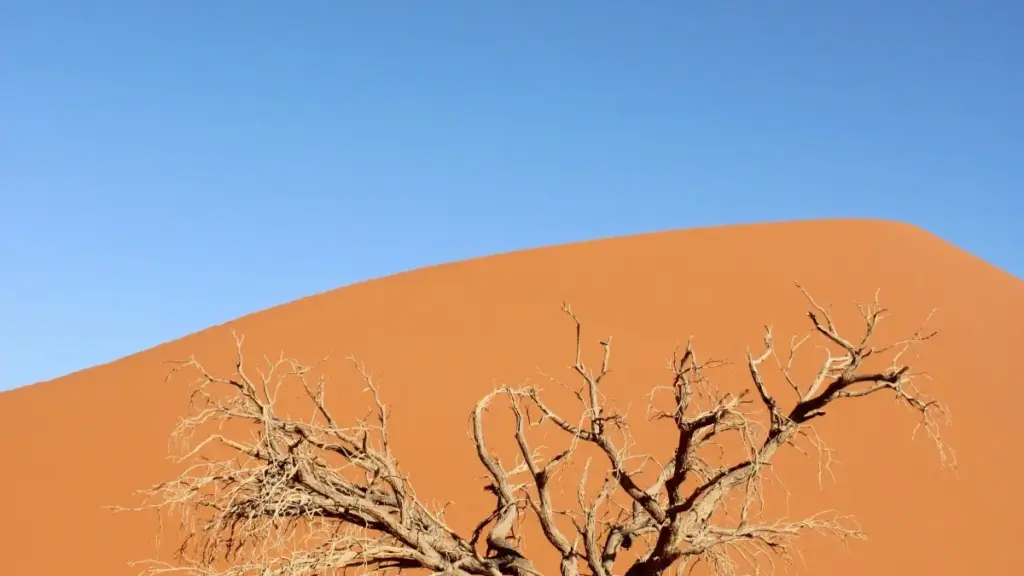 Guide pratique pour annonceurs au Cameroun: comment repérer et collaborer avec des créateurs WeChat basés au Portugal pour booster la visibilité de marques de lifestyle sain.
