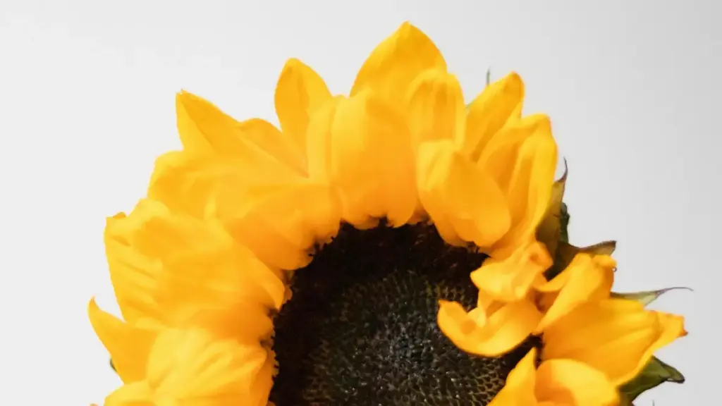 Guide pratique pour créateurs au Cameroun: comment contacter marques lituaniennes sur OnlyFans pour organiser giveaway de clés de jeu, étapes, risques et tactiques locales.