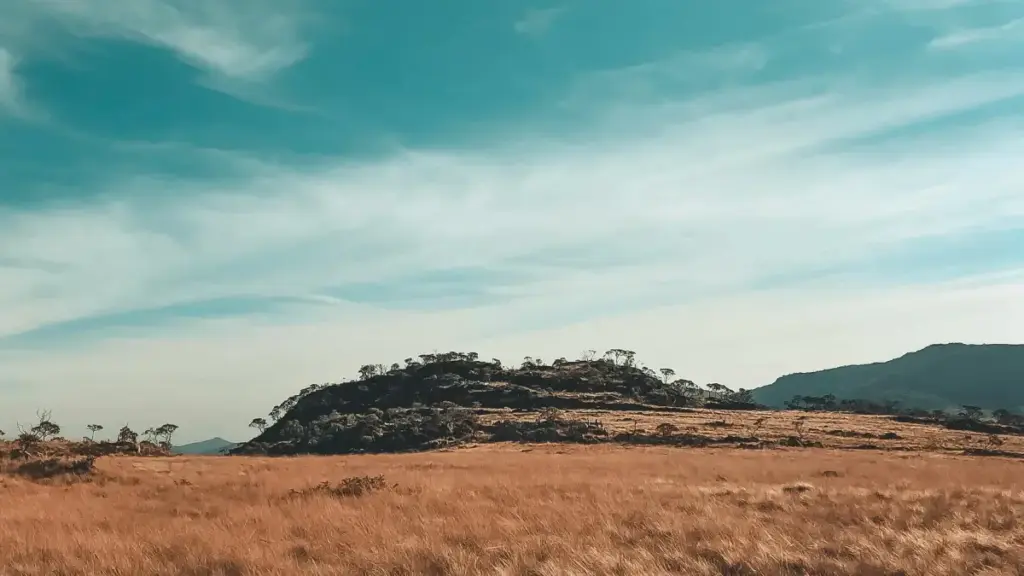 Guide pratique pour créateurs au Cameroun qui veulent contacter des marques canadiennes sur Spotify et décrocher des collabs authentiques.