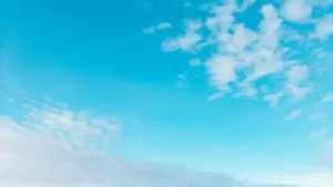 Guide pratique pour créateurs au Cameroun: comment contacter marques kazakhes sur Amazon, négocier échantillons gratuits, astuces logistiques et risques à connaître.