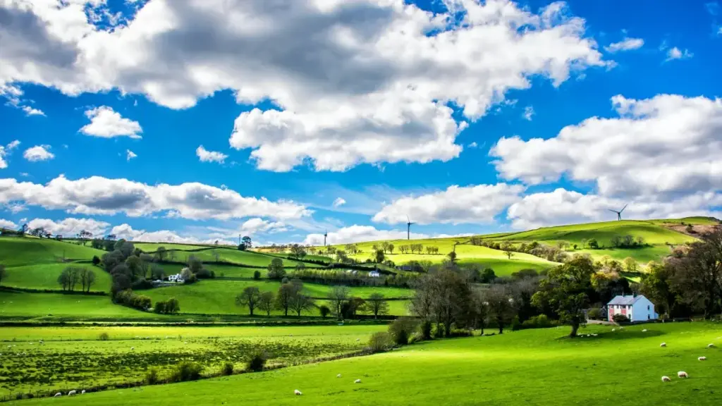 Guide pratique pour créateurs au Cameroun : comment entrer en contact avec marques chinoises sur Facebook, optimiser propositions et gagner visibilité internationale.