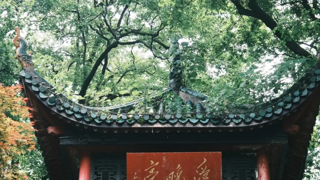 Guide pratique pour créateurs au Cameroun: comment approcher marques colombiennes sur Shopee pour promouvoir artistes émergents, avec tactiques, modèles de pitch et alliés locaux.