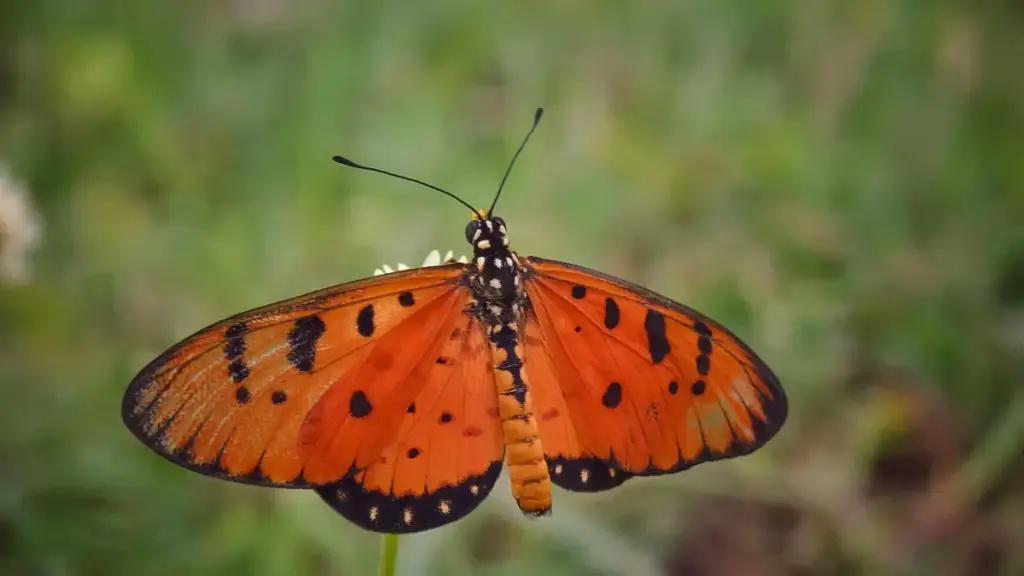 Guide pratique pour annonceurs au Cameroun: comment localiser, contacter et tester la demande marché avec des créateurs Reddit basés au Luxembourg.