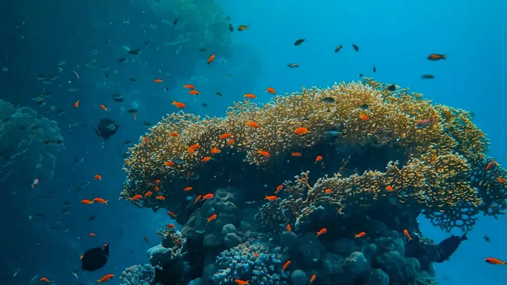 Guide pratique pour annonceurs au Cameroun: comment identifier et engager des créateurs Viber aux Pays‑Bas afin d'améliorer la perception de marque et booster l'engagement localisé.