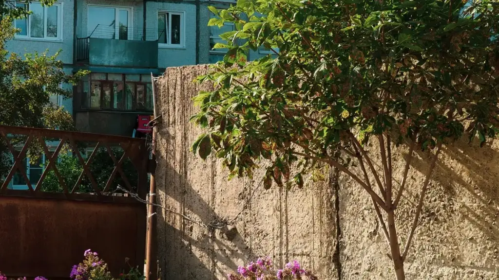 Guide pratique pour annonceurs au Cameroun: comment identifier, évaluer et contacter créateurs Israel Line pour promouvoir gammes de soins de la peau, avec risques éthiques et tactiques concrètes.