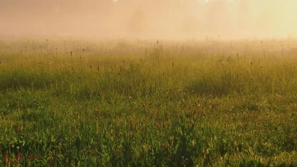 Guide pratique pour créateurs camerounais: comment approcher les marques de Bahrain sur Clubhouse, créer confiance et décrocher partenariats durables.