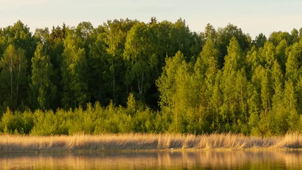 Guide pratique pour créateurs au Cameroun: comment approcher marques cambodgiennes sur Bilibili, prouver crédibilité dans ton media kit et fermer deals réels.