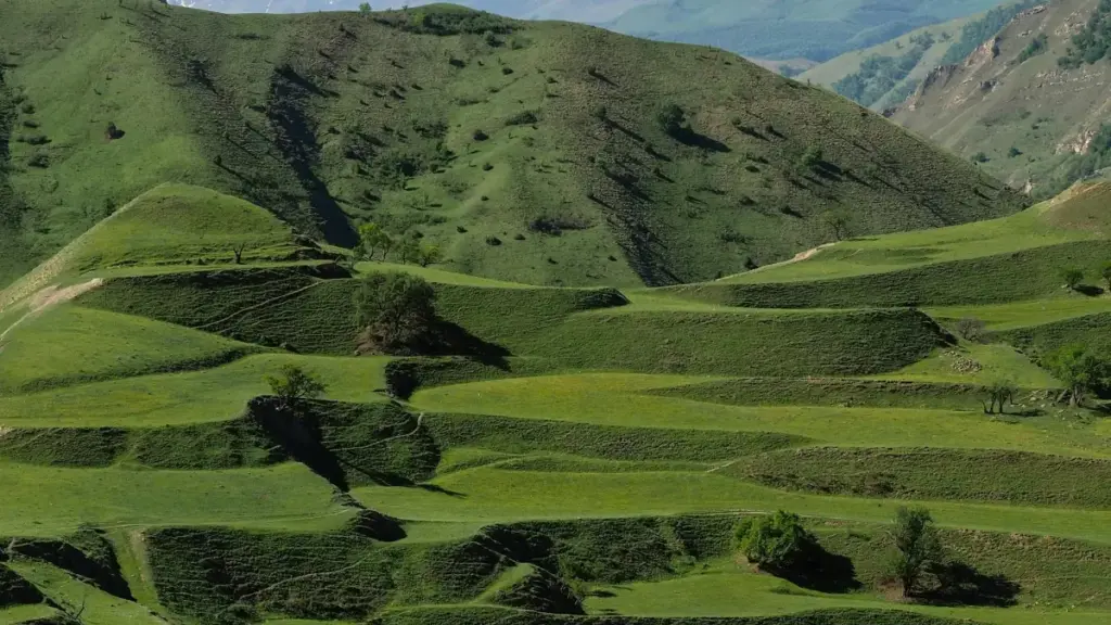 Guide pratique pour annonceurs au Cameroun: comment identifier et lancer des campagnes giveaway avec créateurs eBay basés à Puerto Rico, plus outils, risques et checklist.