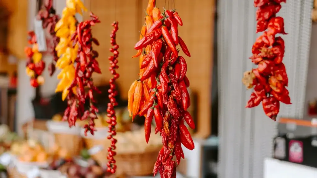 Guide pratique pour créateurs au Cameroun: comment identifier, contacter et convaincre marques ouzbèkes sur Vkontakte pour collabs bien-être en 2026.