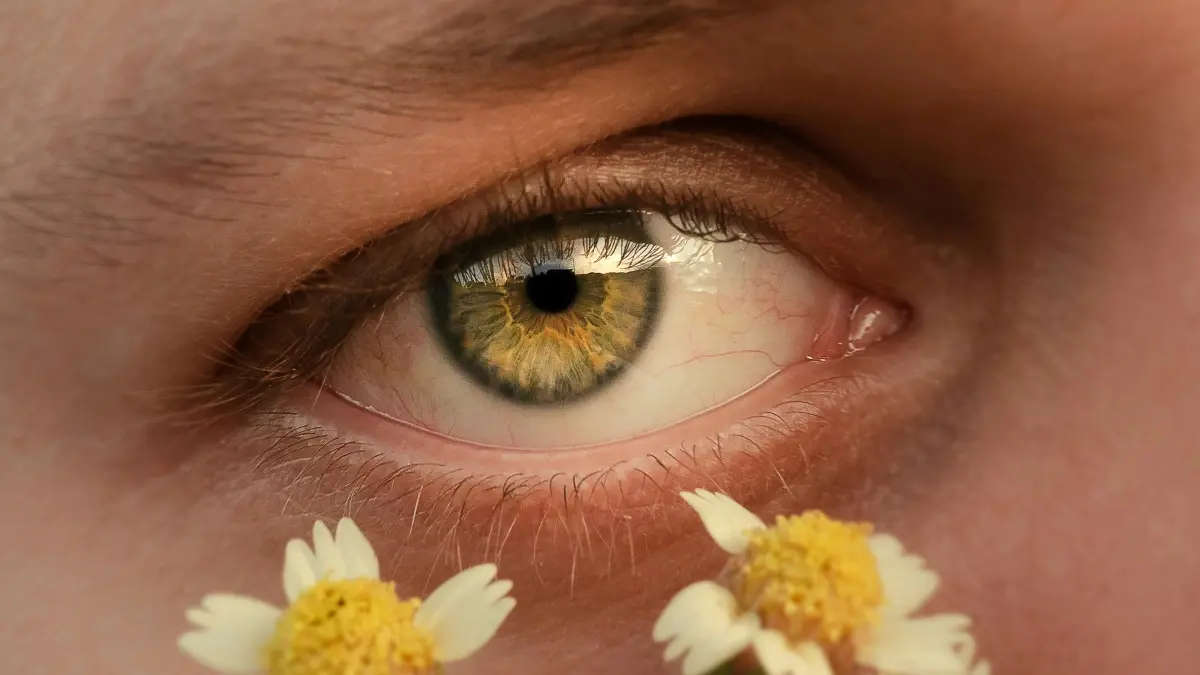 Créateurs CM: viser les marques Mongoles sur YouTube pour des lookbooks