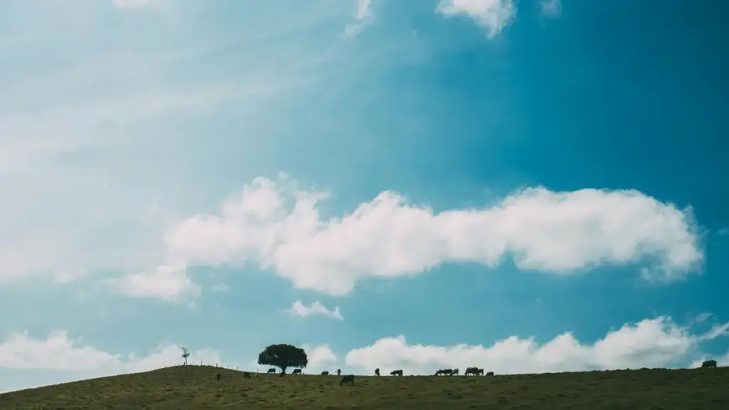 Guide pratique pour créateurs au Cameroun: comment approcher les marques sud‑africaines sur Discord, monter des partenariats et se faire feature en campagne.