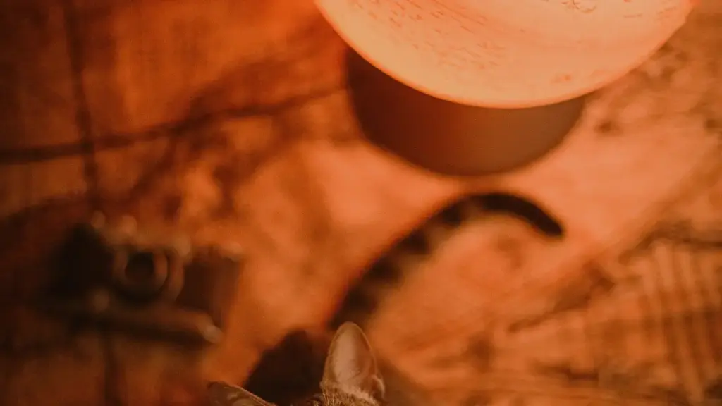 Guide pratique pour annonceurs au Cameroun: comment repérer et collaborer avec des créateurs Clubhouse en Autriche pour générer des avis authentiques et engageants.