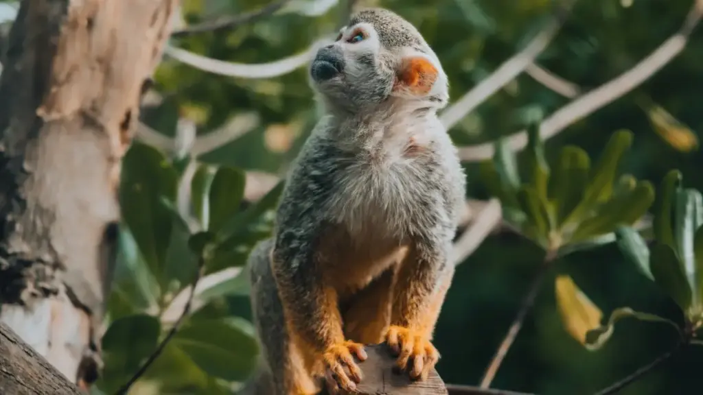 Guide pratique pour créateurs au Cameroon qui veulent joindre marques d’Oman sur eBay, obtenir produits beauté/soins pour review et monter des collabs gagnantes.