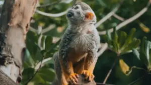 Guide pratique pour créateurs au Cameroon qui veulent joindre marques d’Oman sur eBay, obtenir produits beauté/soins pour review et monter des collabs gagnantes.