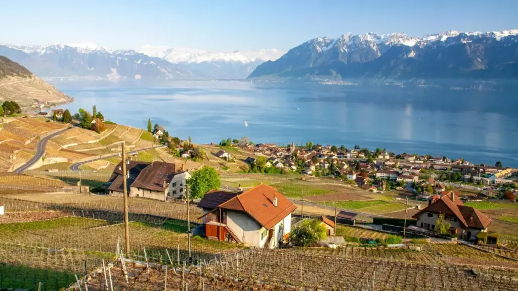 Guide pratique pour créateurs camerounais: comment contacter et bâtir la confiance avec marques grecques via WhatsApp, tactiques relationnelles, erreurs à éviter.