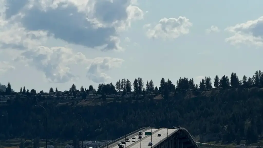 Guide pratique pour annonceurs au Cameroun: comment repérer et activer créateurs Lazada en Slovénie via streamers pour booster installs et conversions.