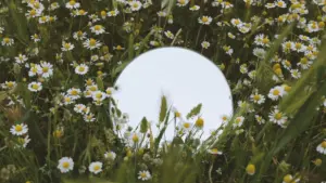 Guide pratique pour annonceurs au Cameroun: comment identifier, qualifier et collaborer avec des créateurs italiens actifs sur eBay pour améliorer le sentiment de marque et les ventes transfrontalières.