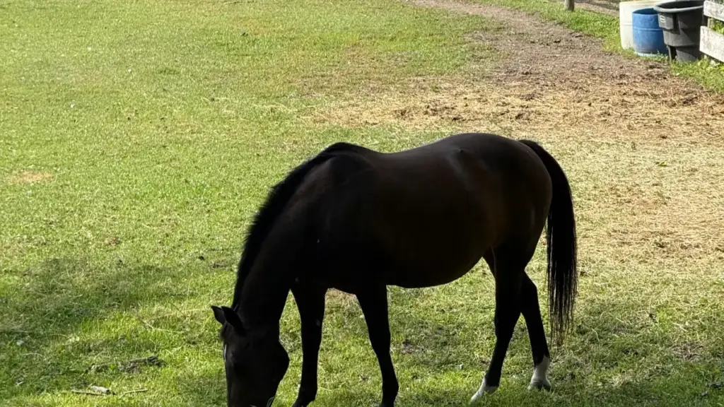 Guide pratique pour annonceurs au Cameroun: où dénicher et convertir créateurs Snapchat d'Équateur en clients payants, avec tactiques locales et risques.