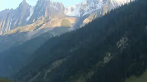 Comment contacter les brands du Sri Lanka sur Takatak et créer du contenu local qui parle aux bons marchés, sans faire du contenu générique qui dort.