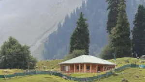 Méthode simple pour repérer des créateurs néo-zélandais autour de Disney+ et négocier des deals au forfait sans se faire avoir.