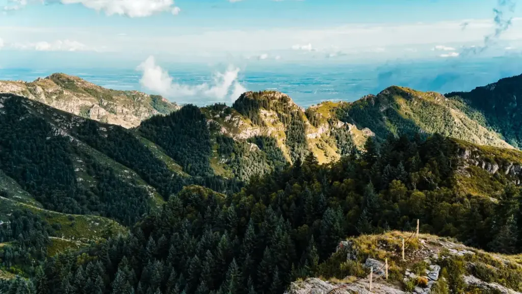 Comment approcher des marques françaises sur Shopee, décrocher une collab gameplay challenge et parler le bon langage sans spammer.